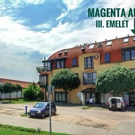 Daire Magenta *