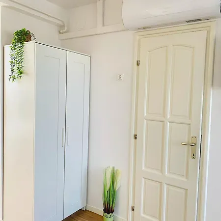 Magenta * Mórahalom