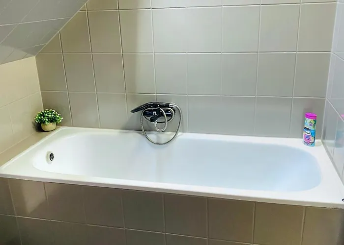 Magenta Apartament